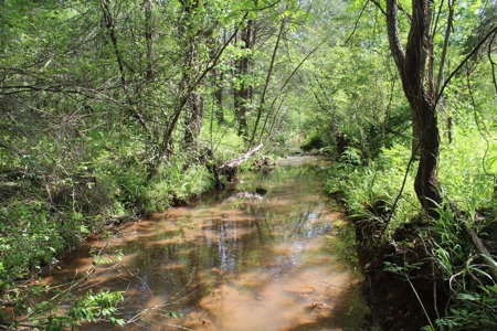 11.58-Acre Scenic Home Site in Albemarle County, VA - image 15