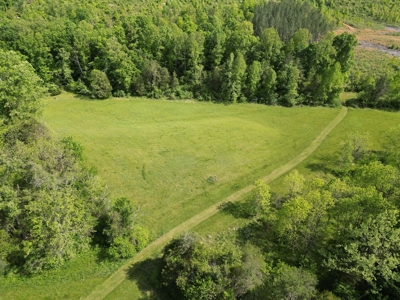 11.58-Acre Scenic Home Site in Albemarle County, VA - image 7