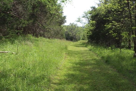 11.58-Acre Scenic Home Site in Albemarle County, VA - image 9