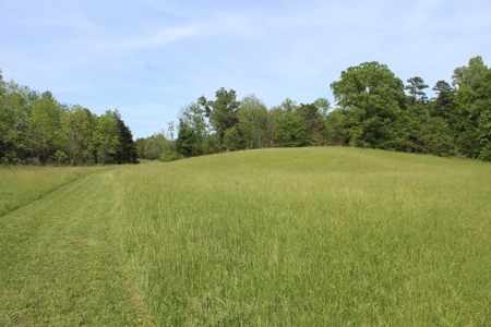 11.58-Acre Scenic Home Site in Albemarle County, VA - image 11