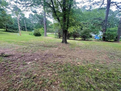 Home on edge of Batesville, AR for sale - image 40