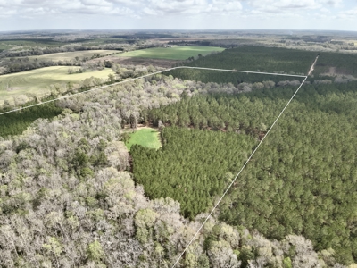 122-Acre Recreational Land in Holmes County, FL for Sale - image 42