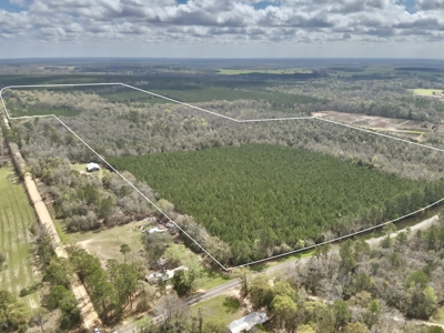 122-Acre Recreational Land in Holmes County, FL for Sale - image 43