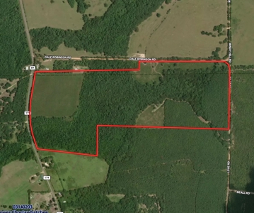 122-Acre Recreational Land in Holmes County, FL for Sale - image 41