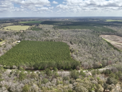 122-Acre Recreational Land in Holmes County, FL for Sale - image 49
