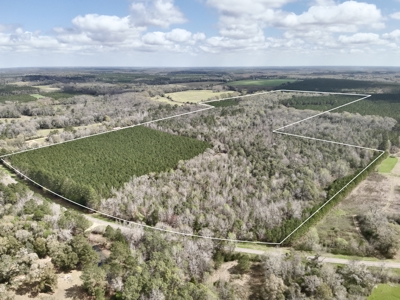 122-Acre Recreational Land in Holmes County, FL for Sale - image 48