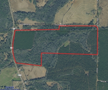 122-Acre Recreational Land in Holmes County, FL for Sale - image 46