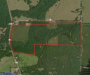 122-Acre Recreational Land in Holmes County, FL for Sale - image 44