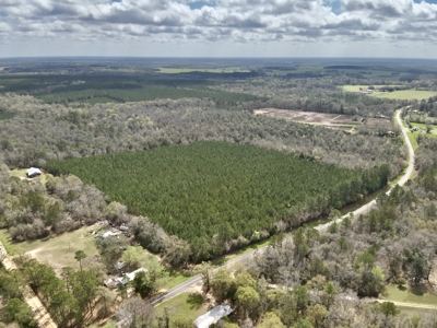 122-Acre Recreational Land in Holmes County, FL for Sale - image 50