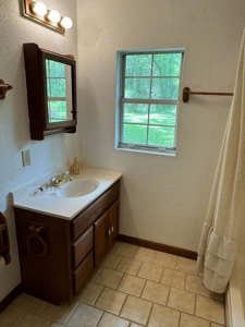 Home For Sale in Calico Rock, Arkansas - image 17