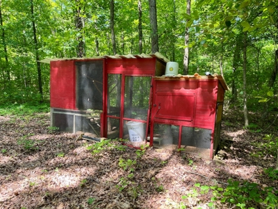 Tiny Home & Land For Sale Near the Little Red River in AR - image 19