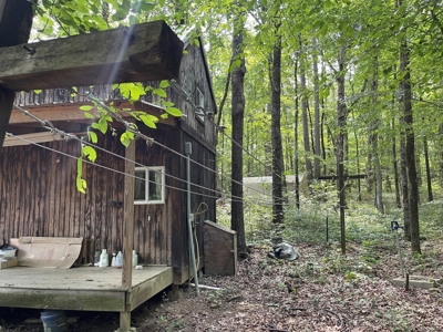 Tiny Home & Land For Sale Near the Little Red River in AR - image 16