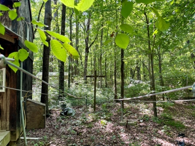 Tiny Home & Land For Sale Near the Little Red River in AR - image 17