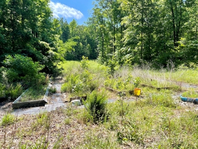 Tiny Home & Land For Sale Near the Little Red River in AR - image 20