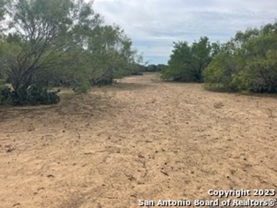 Land for Sale in Jourdanton, TX - image 3