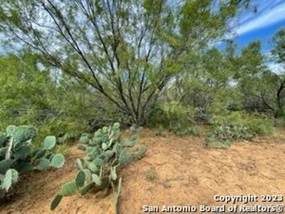 Land for Sale in Jourdanton, TX - image 6