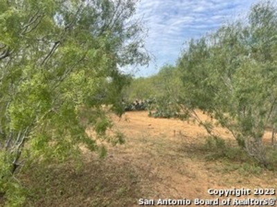 Land for Sale in Jourdanton, TX - image 5