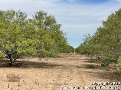 Land for Sale in Jourdanton, TX - image 8