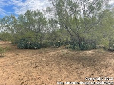 Land for Sale in Jourdanton, TX - image 4
