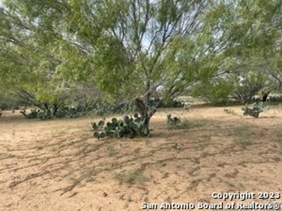 Land for Sale in Jourdanton, TX - image 2