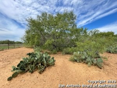 Land for Sale in Jourdanton, TX - image 7