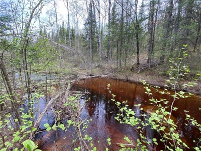 Reduced: Riverfront Property For Sale in Holyoke MN - image 9
