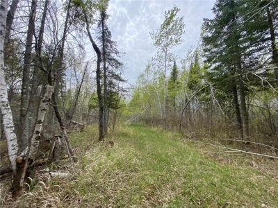 Reduced: Riverfront Property For Sale in Holyoke MN - image 18