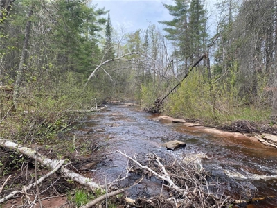 Reduced: Riverfront Property For Sale in Holyoke MN - image 5