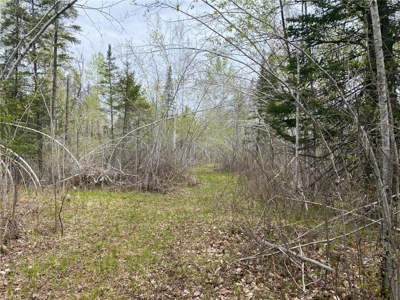 Reduced: Riverfront Property For Sale in Holyoke MN - image 14