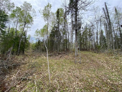 Reduced: Riverfront Property For Sale in Holyoke MN - image 19