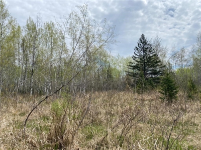 Reduced: Riverfront Property For Sale in Holyoke MN - image 15