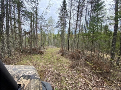 Reduced: Riverfront Property For Sale in Holyoke MN - image 12