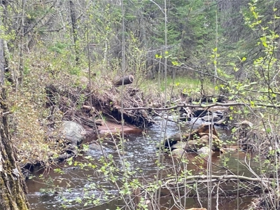 Reduced: Riverfront Property For Sale in Holyoke MN - image 6