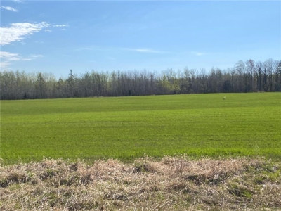 Reduced: Riverfront Property For Sale in Holyoke MN - image 24