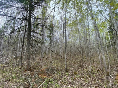 Reduced: Riverfront Property For Sale in Holyoke MN - image 16