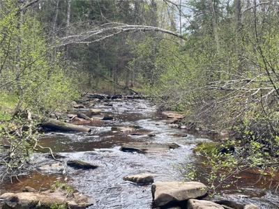 Reduced: Riverfront Property For Sale in Holyoke MN - image 1