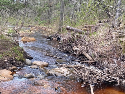 Reduced: Riverfront Property For Sale in Holyoke MN - image 7