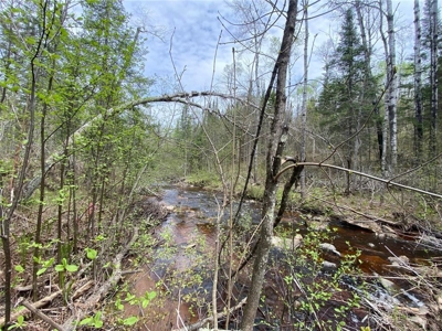 Reduced: Riverfront Property For Sale in Holyoke MN - image 11