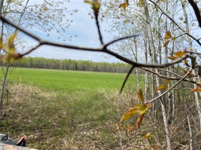 Reduced: Riverfront Property For Sale in Holyoke MN - image 25