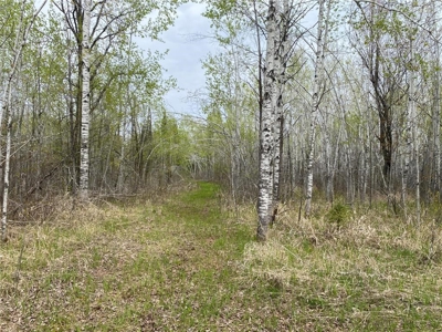 Reduced: Riverfront Property For Sale in Holyoke MN - image 13