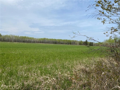Reduced: Riverfront Property For Sale in Holyoke MN - image 3