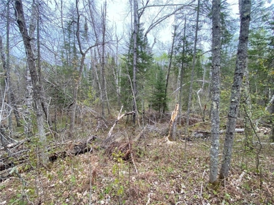 Reduced: Riverfront Property For Sale in Holyoke MN - image 22