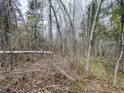 Reduced: Riverfront Property For Sale in Holyoke MN - image 17