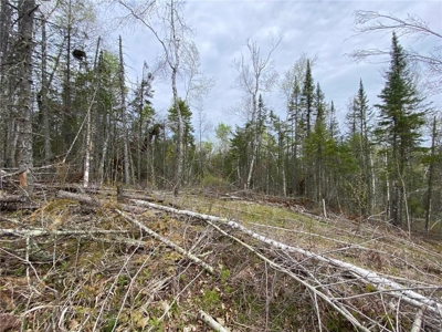Reduced: Riverfront Property For Sale in Holyoke MN - image 20