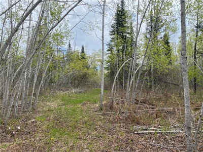 Reduced: Riverfront Property For Sale in Holyoke MN - image 2