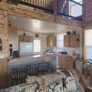 Mountain Cabin in Powderhorn, Colorado - image 12