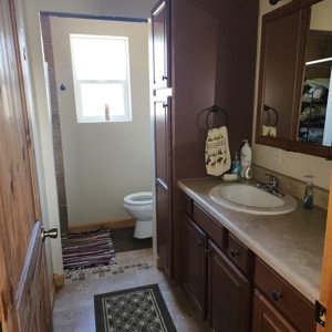 Mountain Cabin in Powderhorn, Colorado - image 15