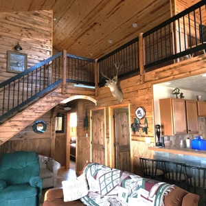 Mountain Cabin in Powderhorn, Colorado - image 17