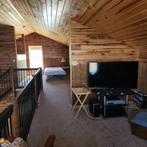 Mountain Cabin in Powderhorn, Colorado - image 31