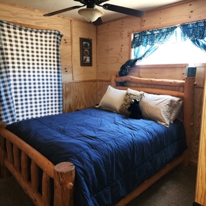 Mountain Cabin in Powderhorn, Colorado - image 25